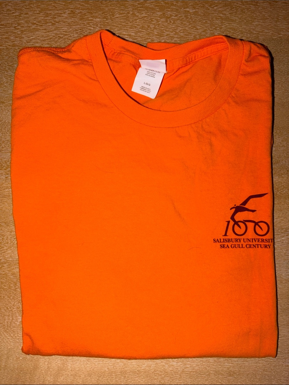 Orange Sea Gull Century Graphic T-Shirt